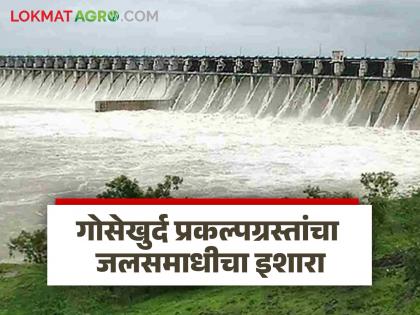 Gosekhurd project victims angered by government's disillusionment; Warning of immediate submersion | सरकारकडून भ्रमनिरास झाल्याने गोसेखुर्द प्रकल्पग्रस्तांचा संताप उसळला; थेट जलसमाधीचा इशारा Gosekhurd project victims angered by government's disillusionment; Warning of immediate submersion | सरकारकडून भ्रमनिरास झाल्याने गोसेखुर्द प्रकल्पग्रस्तांचा संताप उसळला; थेट जलसमाधीचा इशारा