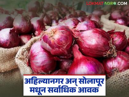 Maximum onion arrival in the state from Ahilyanagar and Solapur markets; Read today's onion market price | अहिल्यानगर आणि सोलापूर बाजारातून राज्यात सर्वाधिक कांदा आवक; वाचा आजचे कांदा बाजारभाव Maximum onion arrival in the state from Ahilyanagar and Solapur markets; Read today's onion market price | अहिल्यानगर आणि सोलापूर बाजारातून राज्यात सर्वाधिक कांदा आवक; वाचा आजचे कांदा बाजारभाव