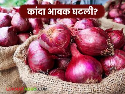 Decrease in arrivals, have prices increased? Read today's onion market prices in the state | आवकेत घट, दर वधारले का? वाचा राज्यातील आजचे कांदा बाजारभाव Decrease in arrivals, have prices increased? Read today's onion market prices in the state | आवकेत घट, दर वधारले का? वाचा राज्यातील आजचे कांदा बाजारभाव