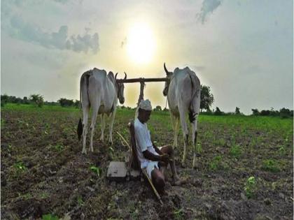 80 rps paid for insurance, received compensation Rs.5 rps; Farmers will go to court | काय थट्टा लावली राव! विम्यासाठी भरले ८० रु., भरपाई मिळाली ५ रु.; शेतकरी कोर्टात जाणार