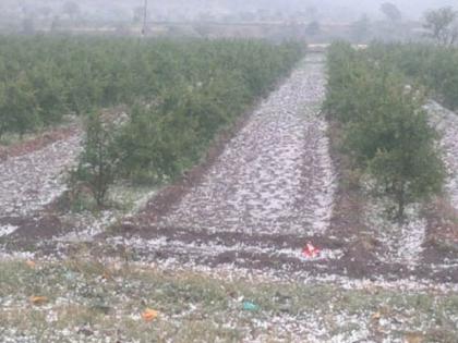 Maharashtra Gusty wind with hail and rain with thunder in the state for two days | Maharashtra | राज्यात दोन दिवस गारपिटीसह सोसाट्याचा वारा अन् मेघगर्जनेसह पाऊस