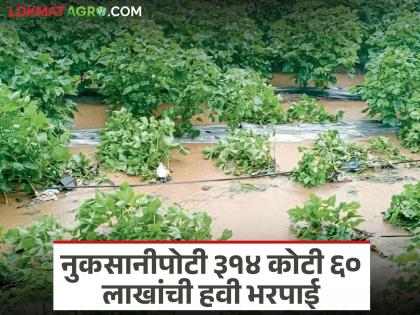 809 hectares of area in Jalgaon district eroded due to heavy rains and floods; Proposal for assistance of Rs 314 crores | अतिवृष्टीसह पुराने खरडून निघाले जळगाव जिल्ह्यातील ८०९ हेक्टर क्षेत्र; ३१४ कोटींच्या मदतीचा प्रस्ताव 809 hectares of area in Jalgaon district eroded due to heavy rains and floods; Proposal for assistance of Rs 314 crores | अतिवृष्टीसह पुराने खरडून निघाले जळगाव जिल्ह्यातील ८०९ हेक्टर क्षेत्र; ३१४ कोटींच्या मदतीचा प्रस्ताव