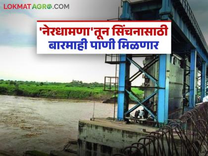 Perennial water for irrigation will be available from 'Nerdhamana'; Water pipe distribution system expected to be completed soon | 'नेरधामणा'तून सिंचनासाठी बारमाही पाणी मिळणार; पाणी नलिका वितरण प्रणाली लवकर पूर्ण होण्याची अपेक्षा Perennial water for irrigation will be available from 'Nerdhamana'; Water pipe distribution system expected to be completed soon | 'नेरधामणा'तून सिंचनासाठी बारमाही पाणी मिळणार; पाणी नलिका वितरण प्रणाली लवकर पूर्ण होण्याची अपेक्षा