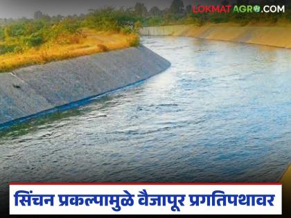 Vaijapur taluka on the path of progress due to Namka and Manyad irrigation projects; Farmers' inclination towards taking cash crops has increased | नांमका, मन्याड सिंचन प्रकल्पामुळे वैजापूर तालुका प्रगतिपथावर; कॅश क्रॉप घेण्याकडे शेतकऱ्यांचा कल वाढला Vaijapur taluka on the path of progress due to Namka and Manyad irrigation projects; Farmers' inclination towards taking cash crops has increased | नांमका, मन्याड सिंचन प्रकल्पामुळे वैजापूर तालुका प्रगतिपथावर; कॅश क्रॉप घेण्याकडे शेतकऱ्यांचा कल वाढला