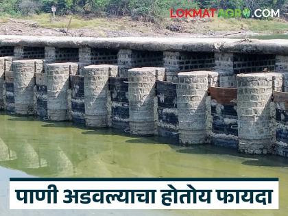 50,000 cubic feet of water stuck in 500 Kolhapur dams; 13,500 hectares under irrigation | ५०० कोल्हापुरी बंधाऱ्यांत अडले ५० हजार सहस्त्र घनफूट पाणी; साडेतेरा हजार हेक्टर ओलिताखाली 50,000 cubic feet of water stuck in 500 Kolhapur dams; 13,500 hectares under irrigation | ५०० कोल्हापुरी बंधाऱ्यांत अडले ५० हजार सहस्त्र घनफूट पाणी; साडेतेरा हजार हेक्टर ओलिताखाली