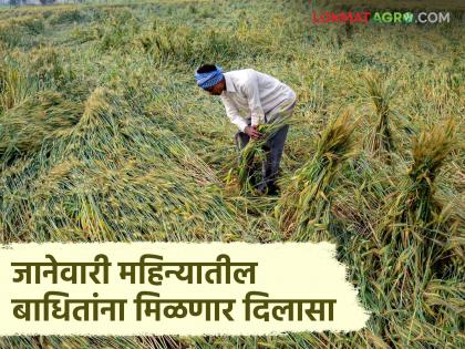 Farmers affected by the January storm will get Rs 16 crore; Read in detail | जानेवारीतील वादळात नुकसानग्रस्त ठरलेल्या शेतकऱ्यांना मिळणार १६ कोटी; वाचा सविस्तर Farmers affected by the January storm will get Rs 16 crore; Read in detail | जानेवारीतील वादळात नुकसानग्रस्त ठरलेल्या शेतकऱ्यांना मिळणार १६ कोटी; वाचा सविस्तर