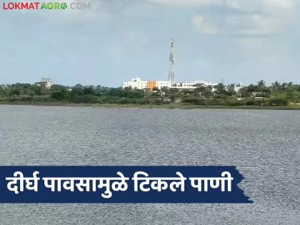 Due to prolonged rains, water has accumulated in the lake this year; 4.25 in the medium lake of Solapur, and 29 in the small one | दीर्घ पावसामुळे यंदा तलावात टिकले पाणी; सोलापूरच्या मध्यम तलावात ४.२५, तर लघूमध्ये २९ दलघमी साठा Due to prolonged rains, water has accumulated in the lake this year; 4.25 in the medium lake of Solapur, and 29 in the small one | दीर्घ पावसामुळे यंदा तलावात टिकले पाणी; सोलापूरच्या मध्यम तलावात ४.२५, तर लघूमध्ये २९ दलघमी साठा