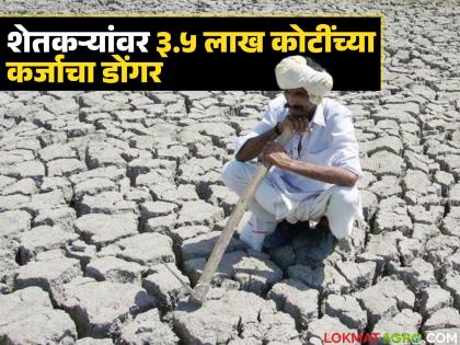 Process for farmer loan waiver scheme begins; Cooperative Department searches for bank details | शेतकरी कर्ज निवारण योजनेसाठी प्रक्रिया सुरू; बँक डिटेल्स घेण्यासाठी सहकार विभागाची शोधमोहीम Process for farmer loan waiver scheme begins; Cooperative Department searches for bank details | शेतकरी कर्ज निवारण योजनेसाठी प्रक्रिया सुरू; बँक डिटेल्स घेण्यासाठी सहकार विभागाची शोधमोहीम