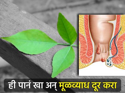 Aayurveda Dr suggest these 7 types of leaves to get rid of hemorrhoids without surgery | मूळव्याध मूळापासून नष्ट करेल ही 7 आयुर्वेदिक पाने, घरच्या घरी होऊन जाईल उपचार