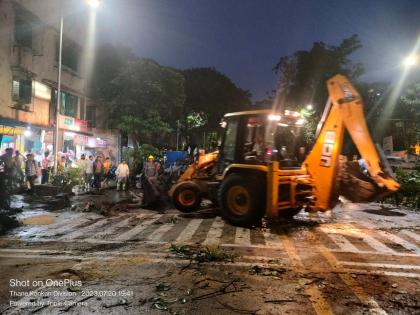 A fallen banyan tree blocked the road for one and a half hours; Massive traffic jams | पडलेल्या वडाच्या झाडाने दीड तास रोखला रस्ता; मोठया प्रमाणात वाहतुकी कोंडी