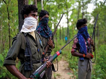 Four Maoists killed on Chhattisgarh border, Gadchiroli police action, spent the night in the forest | छत्तीसगडच्या सीमेवर चार माओवाद्यांचा खात्मा गडचिराेली पाेलिसांची कारवाई, जंगलात काढली रात्र Four Maoists killed on Chhattisgarh border, Gadchiroli police action, spent the night in the forest | छत्तीसगडच्या सीमेवर चार माओवाद्यांचा खात्मा गडचिराेली पाेलिसांची कारवाई, जंगलात काढली रात्र
