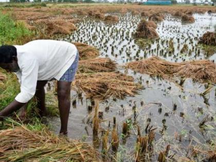 Good News; In Solapur district, the victims of April and May will get help before Diwali | Good News; सोलापूर जिल्ह्यातील एप्रिल, मे च्या अवकाळीग्रस्तांना मिळेल दिवाळीपूर्वी मदत