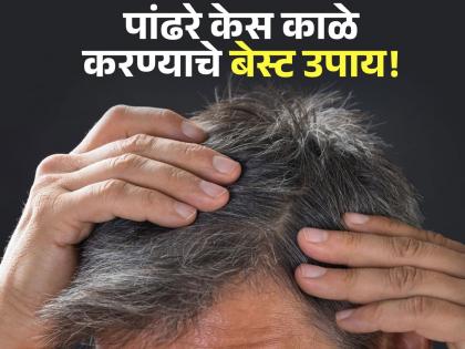 Effective and easy home remedies to get rid of white hair | कमी वयात पांढरे झालेले केस काळे करण्याचे बेस्ट घरगुती उपाय, लगेच दिसेल फरक