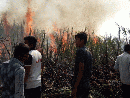 Farmers' Java integration, burning 12 acres of sugarcane in front of the eyes in karnataka | शेतकऱ्यांच्या जावाची घालमेल, डोळ्यादेखत 12 एकर ऊस जळून खाक