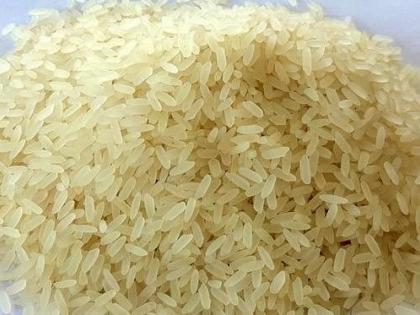 Brahmapuri’s ‘Ukada’ rice reaches overseas, exports 500 tonnes of rice per day | ब्रह्मपुरीचा ‘उकडा’ सातासमुद्रापार, दररोज ५०० टन तांदळाची निर्यात