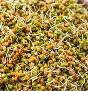 उन्हाळ्यात कडधान्याला चांगले मोड आले तरी आंबूस वास येतो? १ सोपा उपाय, चिकटपणा-वास येणार नाह