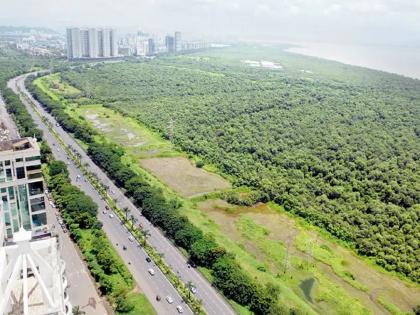 A butterfly park will soon be opened at Palm Beach in Navi Mumbai | नवी मुंबईत लवकरच पामबीचवर होणार फुलपाखरू उद्यान