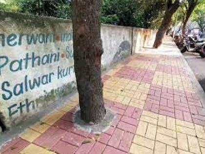 Roots of trees trapped by cement breathe freely | सिमेंटमुळे बंदिस्त झालेल्या झाडांच्या मुळांनी घेतला मोकळा श्वास