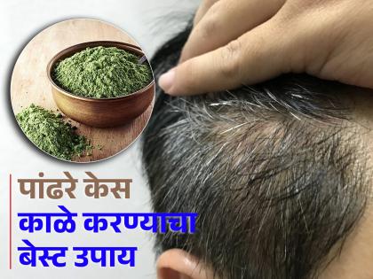 How heena is best for grey hair, Know the right way to use | पांढऱ्या केसांमुळे झालात हैराण, लगेच करा हा सोपा उपाय; उन्हाळ्यात होईल फायदा