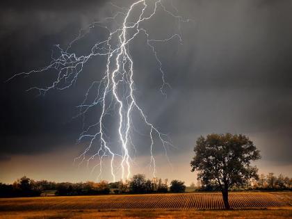 Female laborer killed, three injured due to lightning strike | वीज कोसळून रोवणी करताना महिला मजूर ठार, तीन जखमी