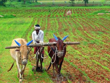 58 'Rovers' ran to help over 7,000 farmers! | ५८ ‘रोवर्स’ धावले ७ हजारांवर शेतकऱ्यांच्या मदतीला!