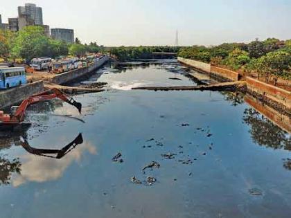 Immigrants to Dahisar Nadilabad's largest stable, Virarla | दहिसर नदीलगतचा सर्वात मोठा तबेला विरारला स्थलांतरित