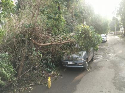 Stormy winds uprooted trees at 30 places in the city; Damage to power lines including houses | वादळी वाऱ्याने नगर शहरात ३० ठिकाणी उन्मळून पडली झाडे; घरांसह वीज तारांचे नुकसान