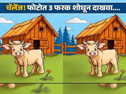 Optical illusion : Can you find 3 differences in the pictures of a cow in 15 seconds | 15 सेकंदात शोधून दाखवा या फोटोतील 3 फरक, जास्तीत जास्त लोक झाले फेल!