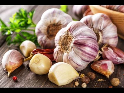 According to study garlic can reduce blood sugar and cholesterol levels naturally | दुप्पट फायदे मिळवण्यासाठी लसणाचं या पद्धतीने करा सेवन, वैज्ञानिकांनी केला दावा