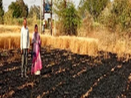 Jaitane, Godfresh fire burning in the Shivarak, and burnt in wheat | जैताणे, देवभाने शिवारात आग, गहू जळून खाक