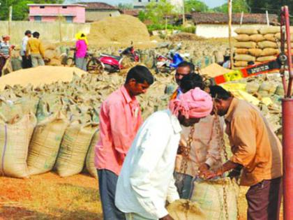 Big news; 90,000 quintals of maize balance; The shopping portal, however, was closed | मोठी बातमी; ९० हजार क्विंटल मका शिल्लक; खरेदीचे पोर्टल मात्र झाले बंद