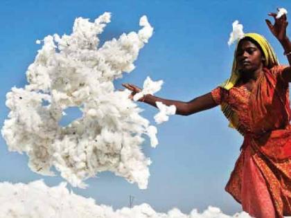 Cotton remain stored at ten thousand farmers | दहा हजार शेतकऱ्यांकडील पांढरे सोने घरातच