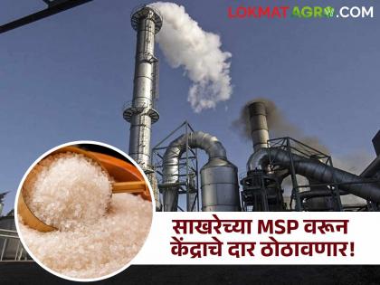Sugar MSP: Karkan in trouble due to sugar MSP; Will knock on the door of the Center to increase MSP | Sugar MSP : साखरेच्या MSPमुळे कारखाने अडचणीत; दर वाढवण्यासाठी ठोठावणार केंद्राचे दार Sugar MSP: Karkan in trouble due to sugar MSP; Will knock on the door of the Center to increase MSP | Sugar MSP : साखरेच्या MSPमुळे कारखाने अडचणीत; दर वाढवण्यासाठी ठोठावणार केंद्राचे दार