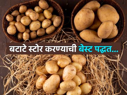 Best way to store potato for months they dont go rotten Dr Erin Carter has shared tips | अनेक महिने खराब होणार नाही बटाटे, डॉक्टरांनी सांगितलं स्टोर करण्याची खास पद्धत