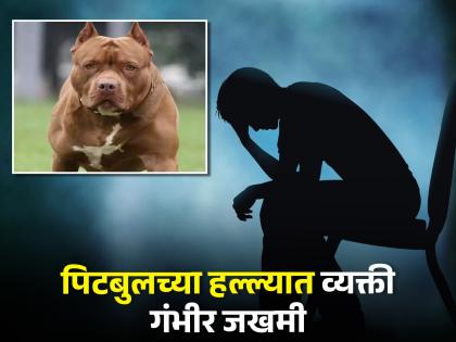 Pitbull dog attacks man private part woman was taking dog in lift incident captured in cctv | लिफ्टमध्ये येत असलेल्या व्यक्तीच्या प्रायव्हेट पार्टवर पिटबुलचा हल्ला आणि मग...