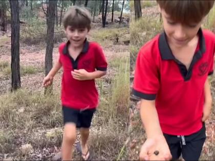 Seven year old boy found sapphire worth 8 lakhs during walking in the park | पार्कमध्ये खेळता खेळता मालामाल झाला 7 वर्षाचा मुलगा, सापडली अशी वस्तू बघून सगळे अवाक्...