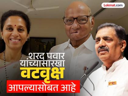 Our battle is Tukaram vs Nathuram we will definitely win Jayant Patil filled the air in the activists minds | आपली लढाई ‘तुकाराम विरुद्ध नथुराम’, नक्कीच जिंकणार, जयंत पाटलांनी कार्यकर्त्यांच्या शिडात हवा भरली Our battle is Tukaram vs Nathuram we will definitely win Jayant Patil filled the air in the activists minds | आपली लढाई ‘तुकाराम विरुद्ध नथुराम’, नक्कीच जिंकणार, जयंत पाटलांनी कार्यकर्त्यांच्या शिडात हवा भरली
