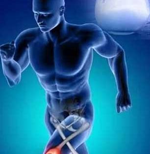 दूधापेक्षा दुप्पट कॅल्शियम देणारे ५ शाकाहारी पदार्थ! प्रोटीन - कॅल्शियम मिळेल भरपूर - साठी उलटली तरी राहाल फिट...