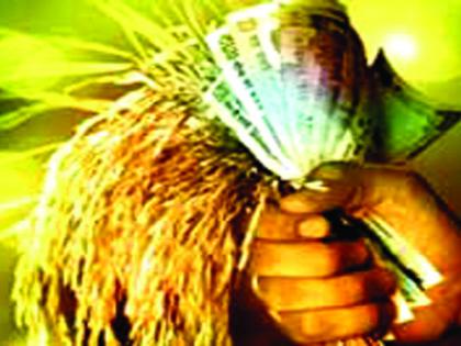 50 percent rebate on loan from agriculture and agriculture industries | कृषी व कृषी पुरक उद्योगांच्या थकित कर्जावर ५० टक्के सुट!