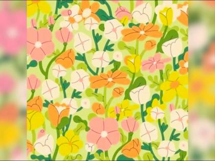 Optical Illusion : Can you find 6 letters hidden in flower bed in 7 seconds | फुलांमध्ये लपवले आहेत इंग्रजीचे 6 लेटर्स, जीनिअस असाल तर 7 सेकंदात शोधून दाखवा!