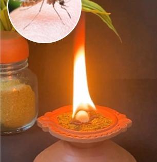 पावसामुळे डास आणि माश्यांचा सुळसुळाट? १ सोपा घरगुती उपाय, डास-माश्या होतील गायब.....