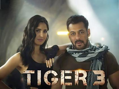 Shah Rukh Khan's Pathaan to Salman Khan's Tiger 3 – WHOPPING OTT rights | Tiger 3: भाईजानच्या 'टायगर 3'ने रिलीजआधीच कमावले इतके कोटी, ‘पठाण’ला टाकलं मागे