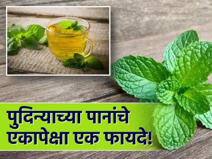 Mint leaves have various health benefits told by Ayurveda Doctor | पुदिन्याच्या पानांचे आरोग्याला मिळतात वेगवेगळे फायदे, वाचाल तर नियमित कराल सेवन...