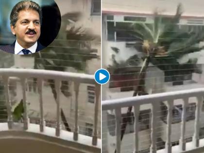 Video: Anand Mahindra tweeted Strong video of Mumbai storms with question | Video: मुंबईच्या वादळी वाऱ्यातील जबरदस्त व्हिडीओ; आनंद महिंद्रांनी ट्विट करत विचारला प्रश्न