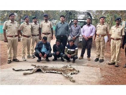 11 nails seized along with leopard skin, three accused arrested | बिबट्याच्या कातडीसह ११ नखे जप्त, तीन आरोपींना अटक