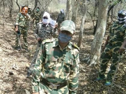 Forest department warriors are also on the ground; Social commitment is maintained along with forest protection | वनविभागाचे योद्धेही मैदानात; वनरक्षणासोबत जपली जातेय सामाजिक बांधिलकी