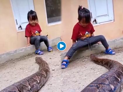 Snake viral video : Little girl playing with giant python watch video | Video: अगडबम अजगराचा रस्ता रोखून मुलीने केलं असं काही, बघून फुटेल घाम....