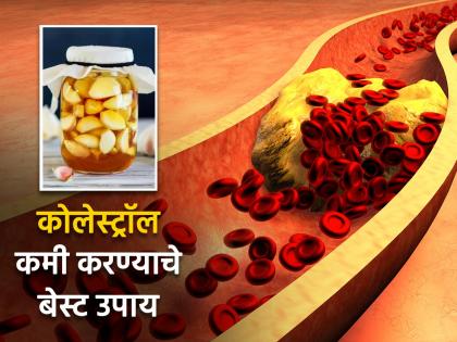 Eat these foods to cut bad cholesterol unclog arteries and reduce risk of heart attack | नसांमध्ये जमा झालेलं कोलेस्ट्रॉल मुळापासून दूर करतील हे उपाय, एकदा करा आणि हार्ट अटॅक टाळा!