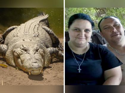 13ft crocodile almost swallowed man wife fights it off with log south Africa | महिलेने काठीने केला जोरदार हल्ला, मगरीच्या जबड्यातून पतीला जिवंत काढलं बाहेर