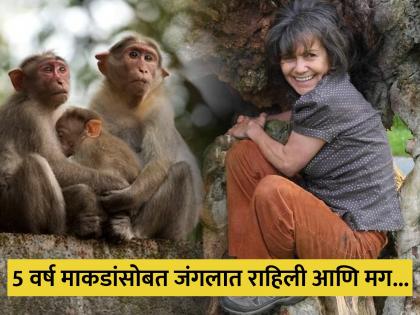 Female Tarzan real story woman raised by monkey in jungle brothel now housewife in UK Marina Chapman | माकडांनी सांभाळ केला, जंगलातून वेश्यालयात पोहोचली आणि मग; महिलेची हैराण करणारी कहाणी